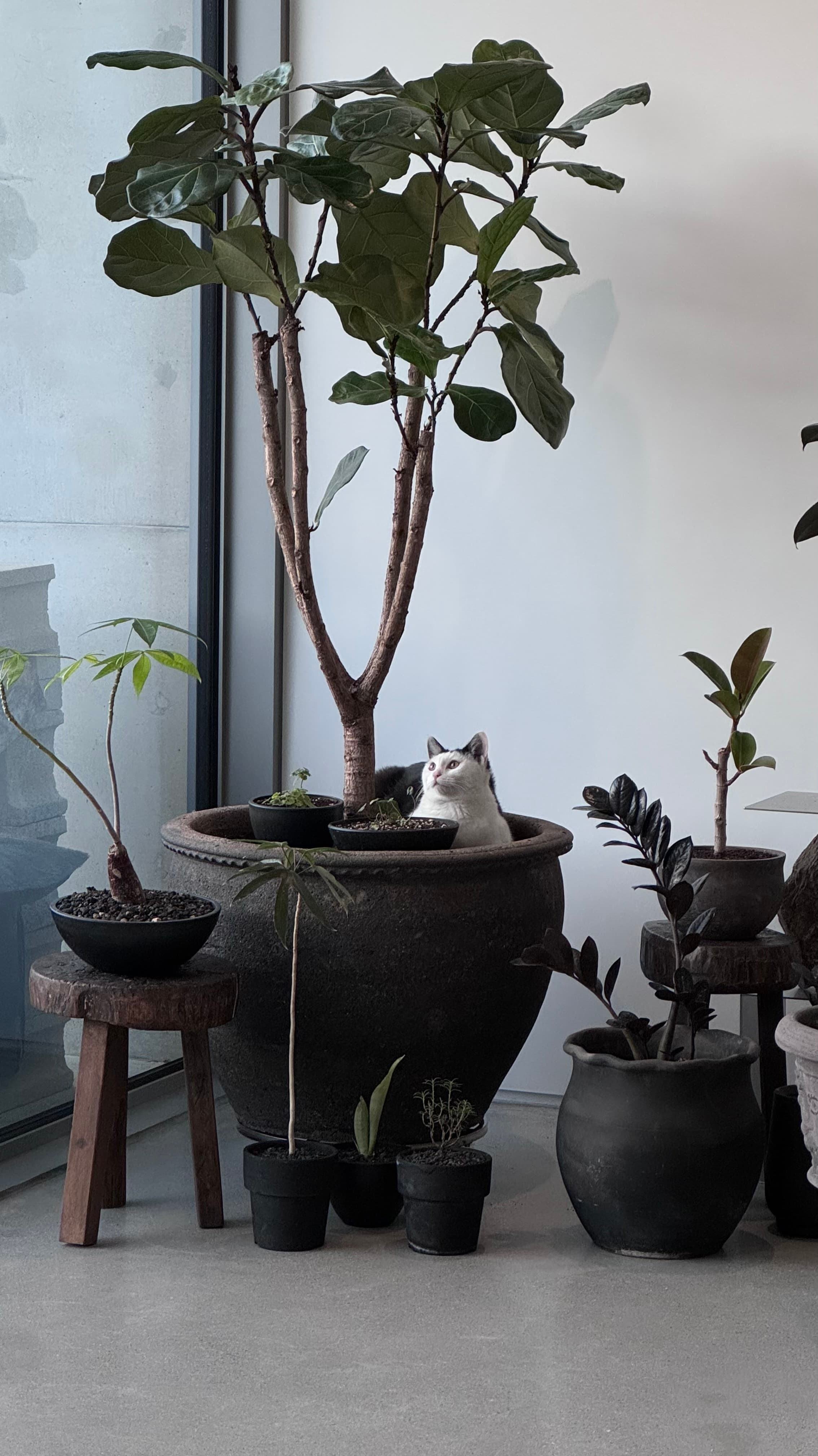 It’s not a cat tower.