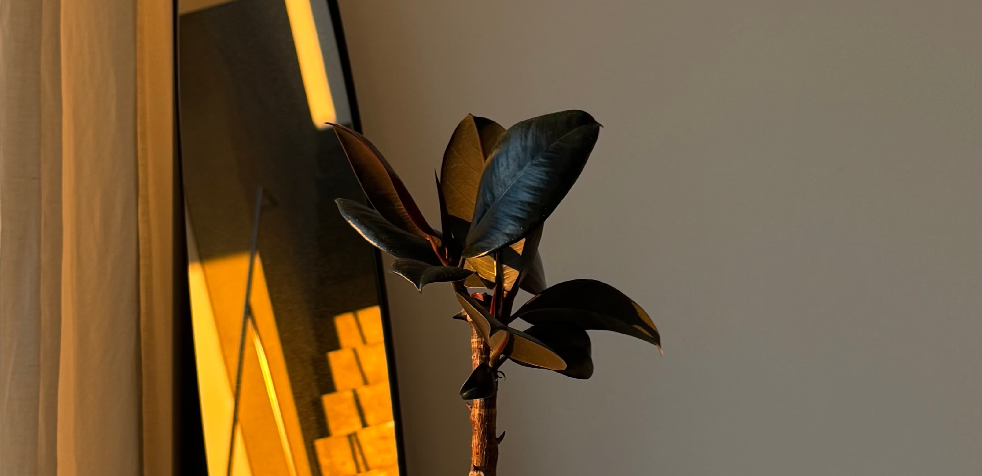 간절기의 기록 · 봄